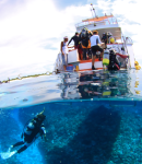 アドバンス　ボートダイビング