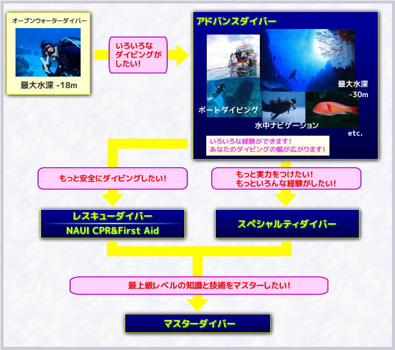 ダイビングステップアップコース一覧