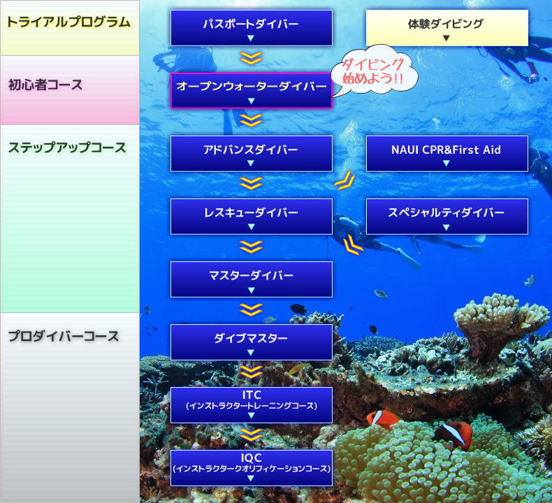 千葉、伊豆、沖縄、海外でのダイビングスクールコース一覧