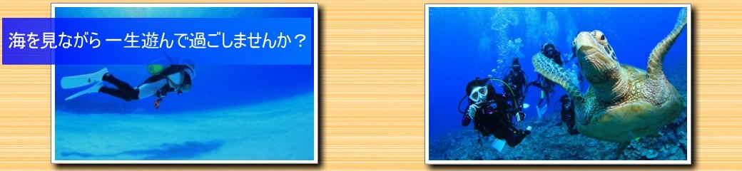 千葉、沖縄、海外でダイビング