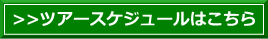 千葉、沖縄、海外へのダイビングスケジュール