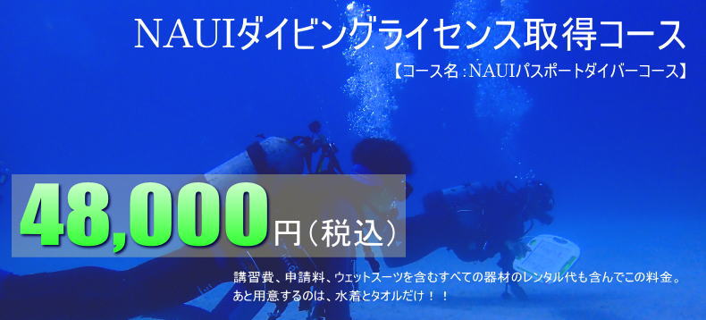 千葉、伊豆、沖縄、海外でダイビングスクール開催