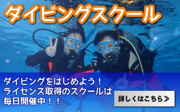 千葉でダイビングライセンス取得スクール