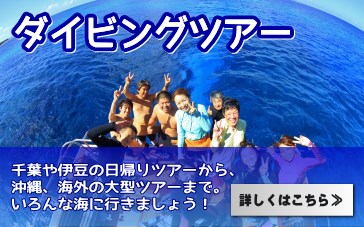 千葉からダイビングツアーに行こう