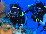 千葉のダイビングプールでのトレーニング